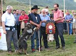 1° Convegno 'Il lupo nel Parco delle Orobie' - 5° Campionato Cani Pastore per Bovini 